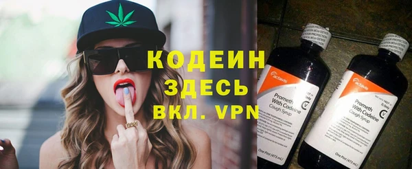 индика Карталы