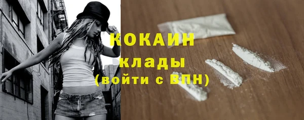 мет Карпинск