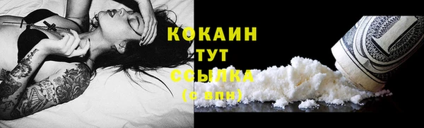 индика Карталы