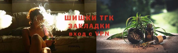 индика Карталы