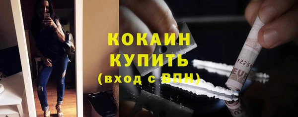 индика Карталы