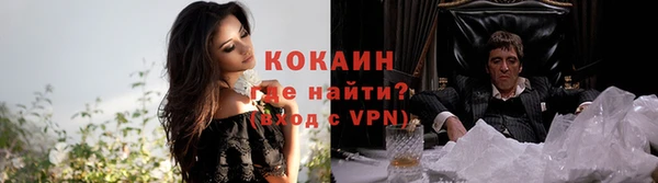 индика Карталы