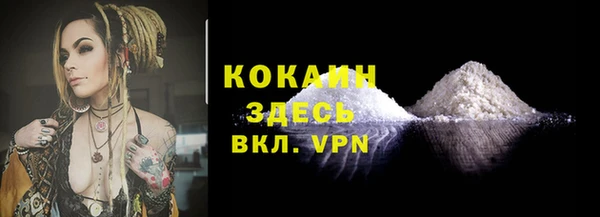 мет Карпинск