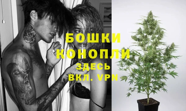 мет Карпинск