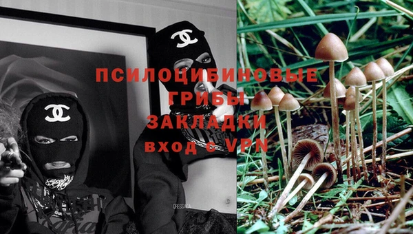мет Карпинск