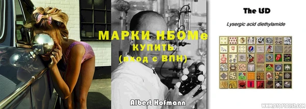 индика Карталы